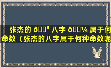 张杰的 🐳 八字 🌼 属于何种命数（张杰的八字属于何种命数呢）